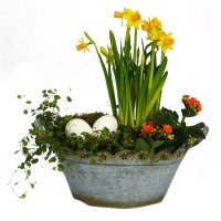 Påskplantering - Påskblommor - Skicka blommor